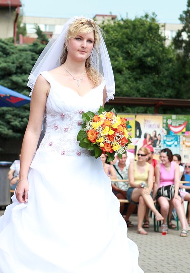 img00027.jpg